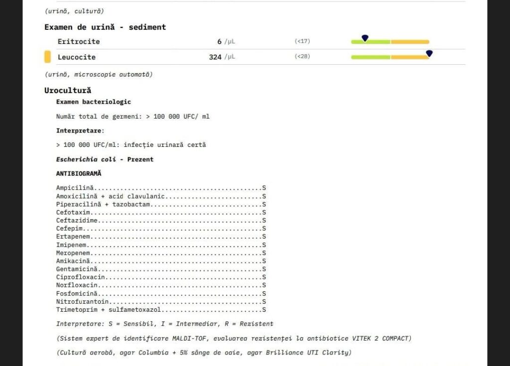 Imaginea nr. 1 din Alessia